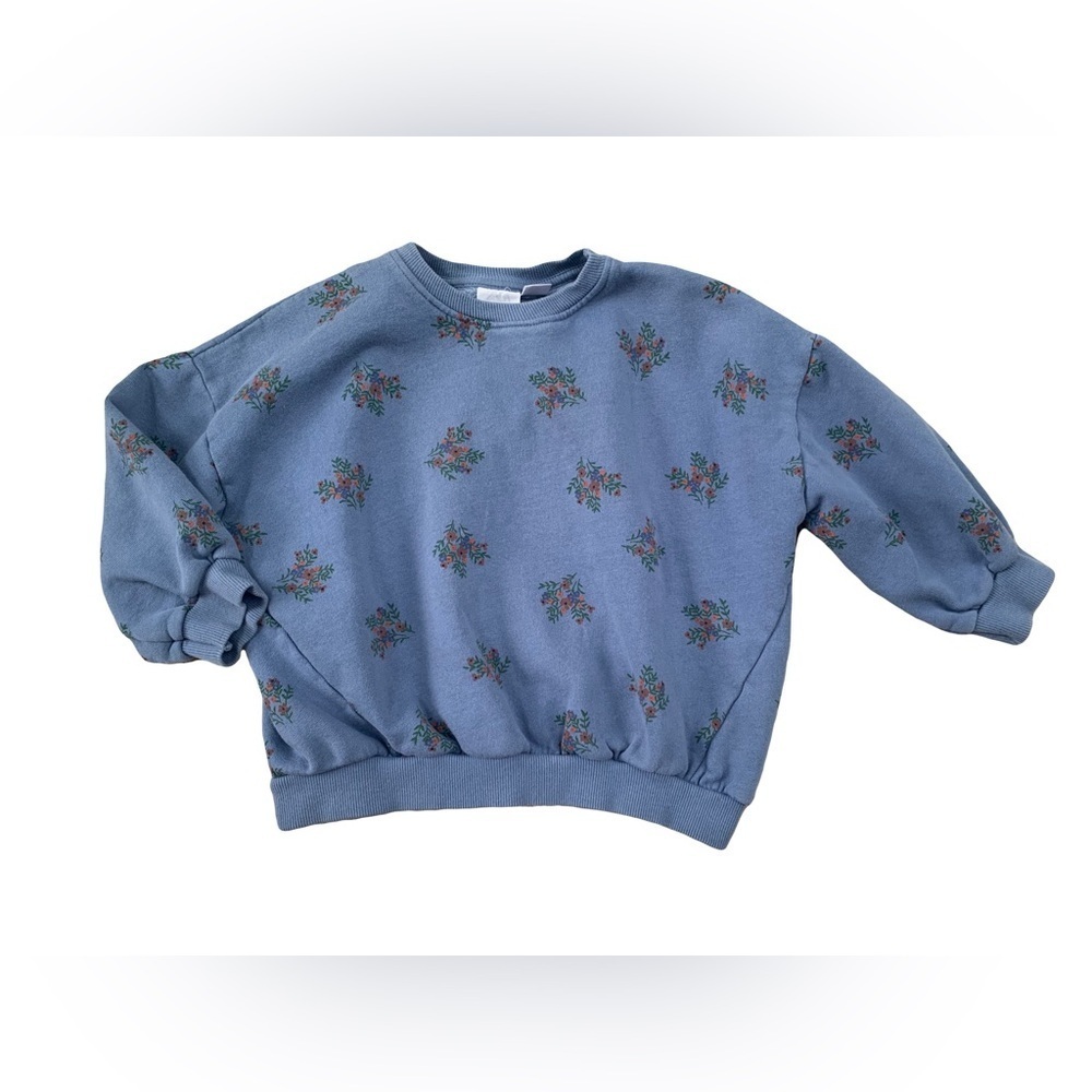 Zara Size 4-5 Years Blue Floral Crewneck Sweatshirt